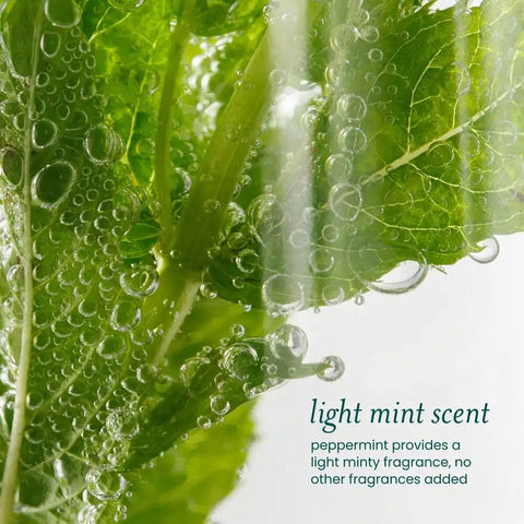 Detox Reset™ Revive & Restore Soothing Scalp Serum